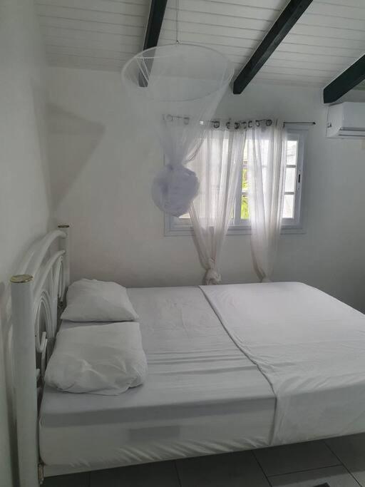 Le Sable Bleu - Evasion Tropicale A Sainte-Anne - Plage 5Min - Piscine - Parking - Logement Climatise - Vue Sur Les Palmiers - Parfait Pour Sejours En Famille Ou Entre Amis 외부 사진