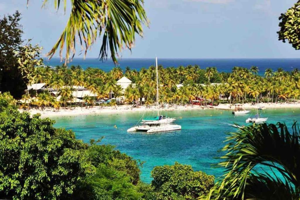 Le Sable Bleu - Evasion Tropicale A Sainte-Anne - Plage 5Min - Piscine - Parking - Logement Climatise - Vue Sur Les Palmiers - Parfait Pour Sejours En Famille Ou Entre Amis 외부 사진