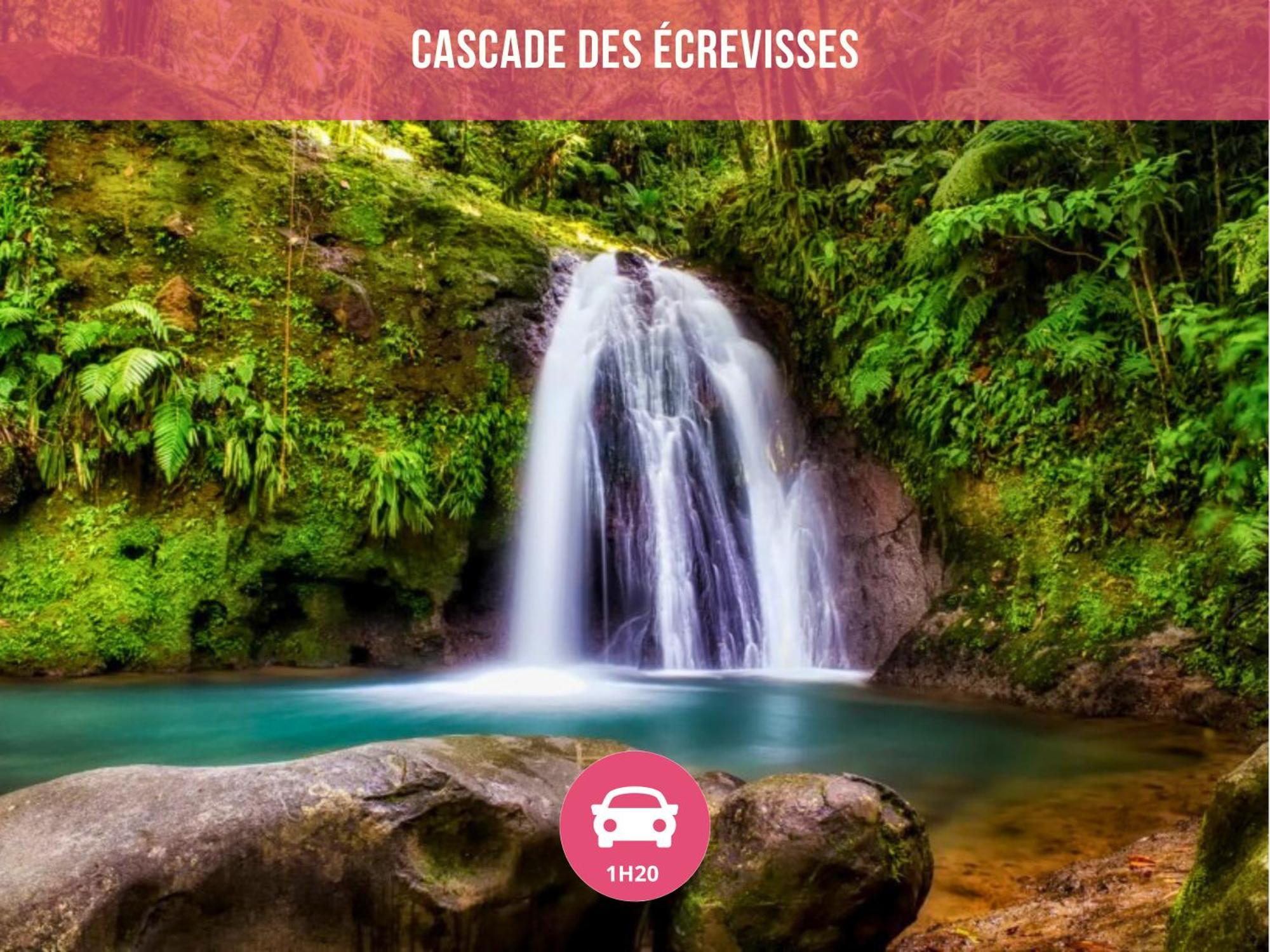 Le Sable Bleu - Evasion Tropicale A Sainte-Anne - Plage 5Min - Piscine - Parking - Logement Climatise - Vue Sur Les Palmiers - Parfait Pour Sejours En Famille Ou Entre Amis 외부 사진