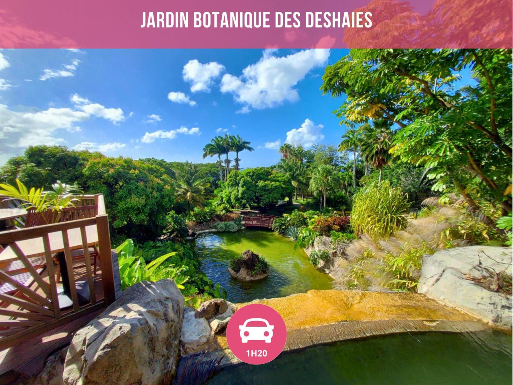 Le Sable Bleu - Evasion Tropicale A Sainte-Anne - Plage 5Min - Piscine - Parking - Logement Climatise - Vue Sur Les Palmiers - Parfait Pour Sejours En Famille Ou Entre Amis 외부 사진
