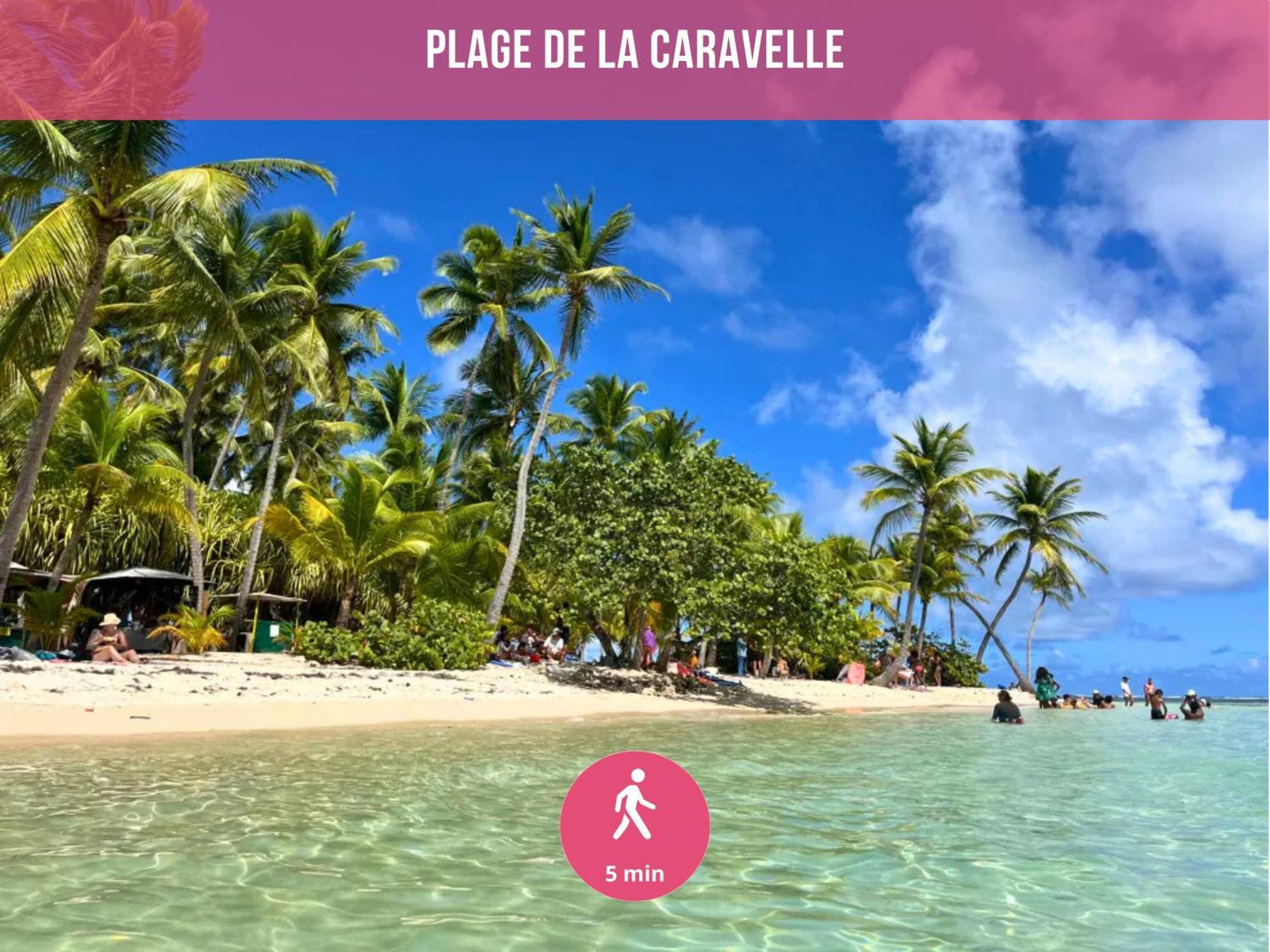Le Sable Bleu - Evasion Tropicale A Sainte-Anne - Plage 5Min - Piscine - Parking - Logement Climatise - Vue Sur Les Palmiers - Parfait Pour Sejours En Famille Ou Entre Amis 외부 사진